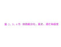 高考生物一轮复习课件：必修1 第6章 第2、3、4节 细胞的分化、衰老、凋亡和癌变(含答案)