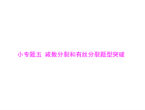 高考生物一轮复习课件：必修2 小专题五 减数分裂和有丝分裂题型突破(含答案)
