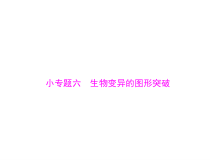 高考生物一轮复习课件：必修2 小专题六 生物变异的图形突破(含答案)