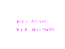 高考生物一轮复习课件：必修2 第1章 第1节 孟德尔的豌豆杂交实验（一）(含答案)