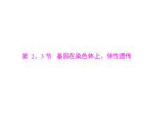 高考生物一轮复习课件：必修2 第2章 第2、3节 基因在染色体上、伴性遗传(含答案)