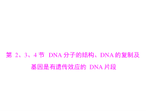 高考生物一轮复习课件：必修2 第3章 第2、3、4节 DNA分子的结构、DNA的复制及基因是有遗传效应的DNA片段(含答案)