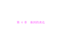高考生物一轮复习课件：必修2 第4章 第1、2节 基因指导蛋白质的合成、基因对性状的控制(含答案)
