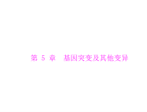 高考生物一轮复习课件：必修2 第5章 第1节 基因突变和基因重组(含答案)