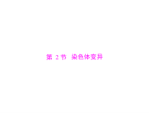高考生物一轮复习课件：必修2 第5章 第2节 染色体变异(含答案)