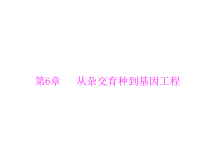 高考生物一轮复习课件：必修2 第6章 第1、2节 杂交育种与诱变育种、基因工程及其应用(含答案)
