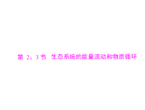 高考生物一轮复习课件：必修3 第5章 第2、3节 生态系统的能量流动和物质循环(含答案)