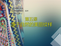 《5.源于自然的美丽纹样》PPT课件1(1)-七年级美术上册人美版（杨力）