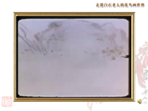 《2.齐白石的花鸟画》PPT课件1(1)-七年级美术下册人美版（杨力）
