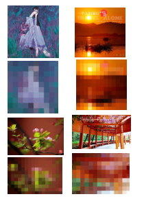 《5.色彩的调和》导学案3-八年级美术下册人美版（杨力）