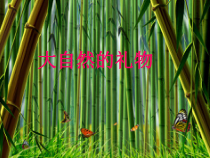 《16. 大自然的礼物——草编（辽宁）》PPT课件1-七年级美术上册人美版（常锐伦）