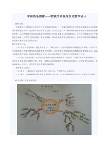 《2 手绘线条图像——物象的多视角表达》教学设计1-八年级美术下册人美版（常锐伦）
