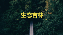 《11 生态吉林（吉林））》PPT课件1-八年级美术下册人美版（常锐伦）
