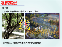 《2 线条的艺术表现力》PPT课件4-九年级美术上册人美版（常锐伦）