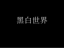《第2课 黑白世界》PPT课件3-七年级美术下册湘美版