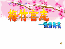 《第2课 梅竹言志》PPT课件1-八年级美术上册湘美版