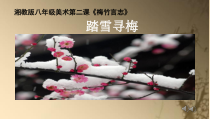《第2课 梅竹言志》PPT课件3-八年级美术上册湘美版