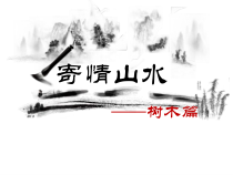 《第3课 寄情山水》PPT课件3-八年级美术上册湘美版