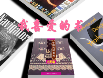 《第7课 我喜爱的书》PPT课件4-八年级美术下册湘美版
