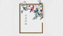 《第七课 走近收藏》PPT课件6-九年级美术下册湘美版