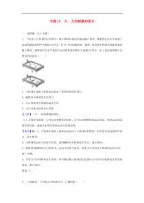 中考物理试题分类汇编 专题10 力、力的测量和表示（含解析）