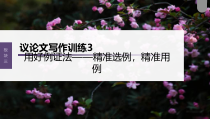 (新高考)高考语文一轮复习课件第10部分 写作突破  议论文写作训练3　用好例证法——精准选例，精准用例 (含详解)