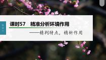 (新高考)高考语文一轮复习课件第7部分 小说阅读  课时57　精准分析环境作用——精判特点，精析作用 (含详解)