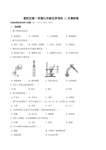 上海市普陀区九年级初三上学期12月月考化学试卷+答案