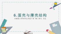 武进区新苏教版五年级科学下册第二单元《蛋壳和薄壳结构》课件（定稿）