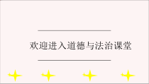 部编版道德与法治八年级下册《 治国安邦的总章程 》ppt完美版课件1
