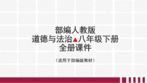 【优质】人教版道德与法治八年级下册全册PPT课件【预览版】