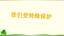 部编版六年级道德与法治上册《我们受特殊保护》PPT课件-完美版8