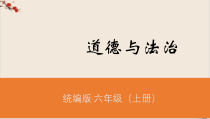 部编版道德与法治六年级上册《感受生活中的法律》ppt(课件)