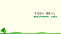 统编版四年级下册道德与法治《合理消费》PPT课件-完美版1