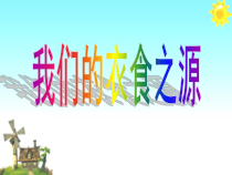 部编版道德与法治四年下册7《 我们的衣食之源》PPT课件-完美版1