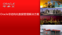 Oracle非结构化数据管理方案交流