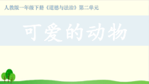 部编版道德与法治一年级下册《7 可爱的动物》PPT课件-完美版1