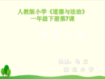 部编版道德与法治一年级下册《7 可爱的动物》PPT课件-完美版9