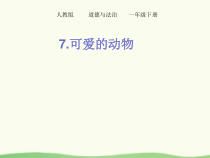 部编版道德与法治一年级下册《7 可爱的动物》PPT课件-完美版2