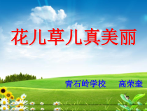 部编版道德与法治一年级下册《花儿草儿真美丽》PPT课件-完美版10