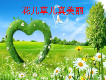 部编版小学道德与法治一年级下册《 花儿草儿真美丽》公开课课件1