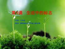 《12.生活中的标志》PPT课件5-七年级美术上册冀美版