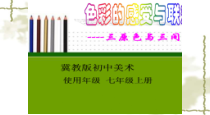 《9.色彩的感受与联想》PPT课件4-七年级美术上册冀美版