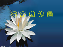 《3.花卉装饰画》PPT课件3-七年级美术下册冀美版