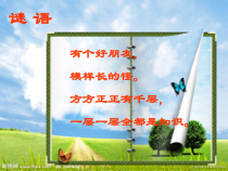 《4.制作精美书衣》PPT课件4-八年级美术上册冀美版