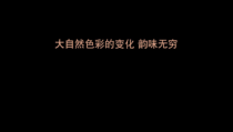《第3课 绿来自我们的手》PPT课件5(1)-八年级美术上册赣美版