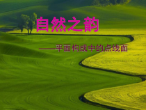 《第4课 生活中的点、线、面》PPT课件2-七年级美术上册辽海版