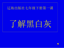 《第1课 了解黑灰白》PPT课件7-七年级美术下册辽海版