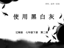 《第2课 使用黑灰白》PPT课件2-七年级美术下册辽海版
