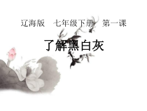 《第1课 了解黑灰白》PPT课件2-七年级美术下册辽海版